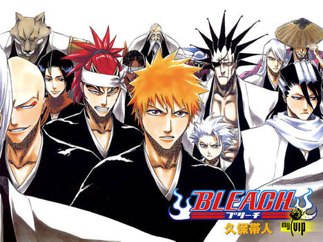 Bleach 27