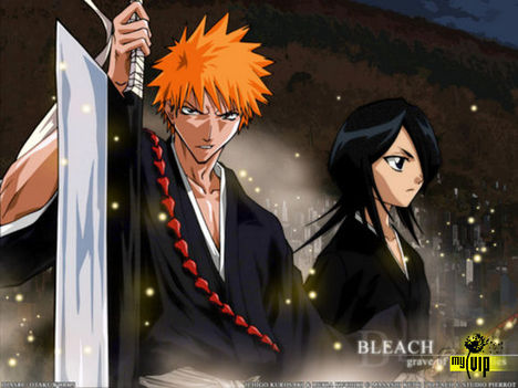 Bleach 30