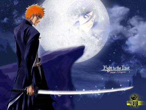 Bleach 33