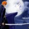 Bleach 33