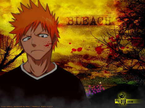 Bleach 39