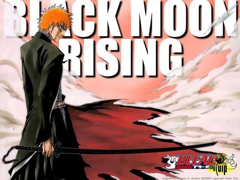 Bleach 6