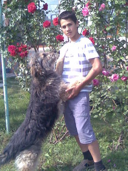 Kép103