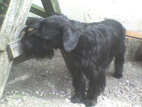 DSC00102