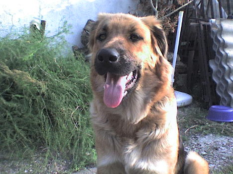 DSC00178