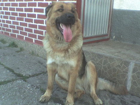 DSC00204