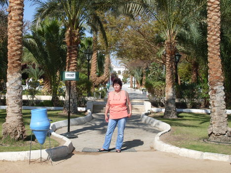 SDC10027