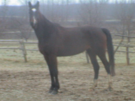 2009 038