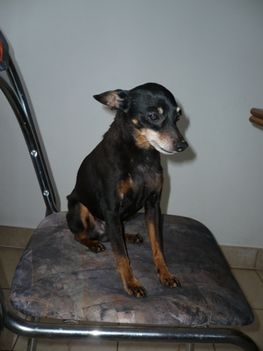 Onix