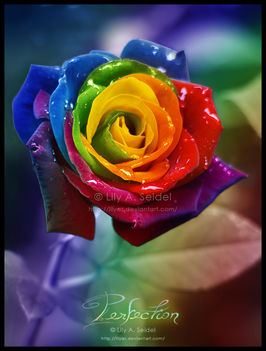 9add77e27b78f9442881de3mp1