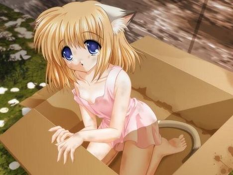 anime cat girl6