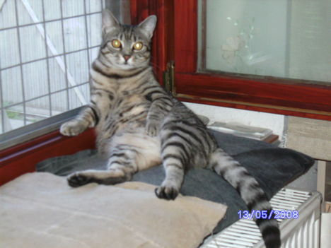 BILD0036