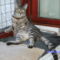 BILD0036