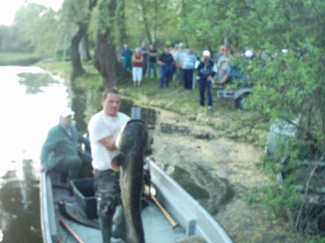 IMAGE0044
