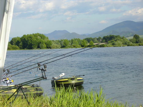 IMGP0194