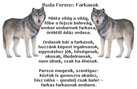 Farkasok vers