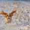 dog-running-in-the-snow-600x370
