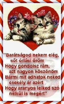 A barátság nekem elég