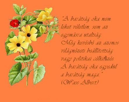A barátság oka