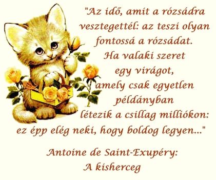 Az idő mit rózsákra vesztegetél