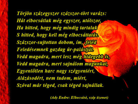Élbocsáto szép üzenet