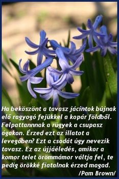 Ha beköszönt a tavasz