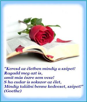 Keresd az életben