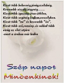 Kicsit tőbb békesség