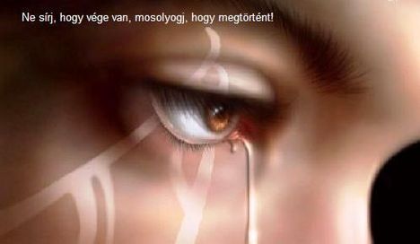 Ne sir , hogy végevan
