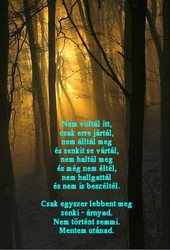 Nem voltál itt