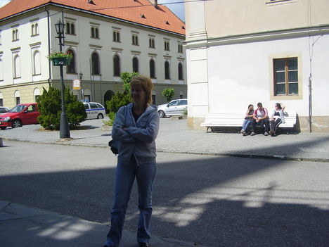 P5290054
