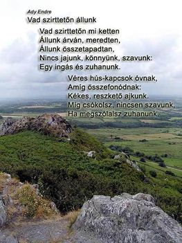 Vad szirttetőn állunk