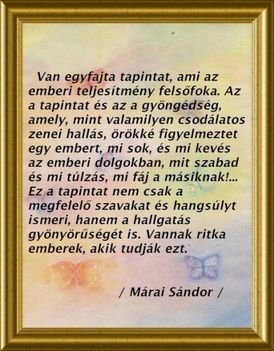 Van egyfajta tapintat