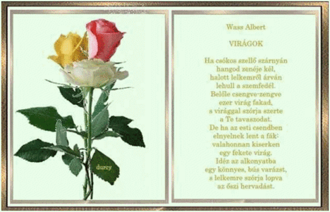 Virágok Wass Albert