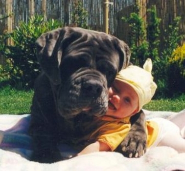 Kutya és baba :)