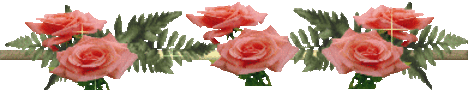 rózsrózsák