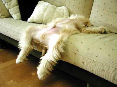 after_xmas3