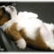 after_xmas_2