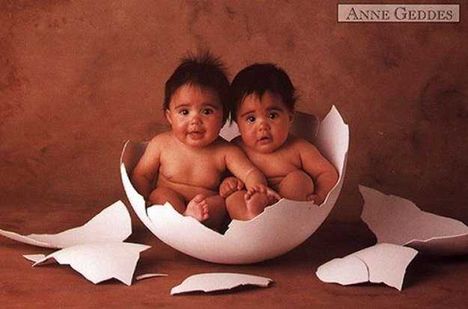 babies in egg