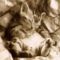 [Funny Mails] 57 - P'tit chat - sleeping