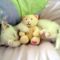 [Funny Mails] 59 - P'tit chat - teddykitty