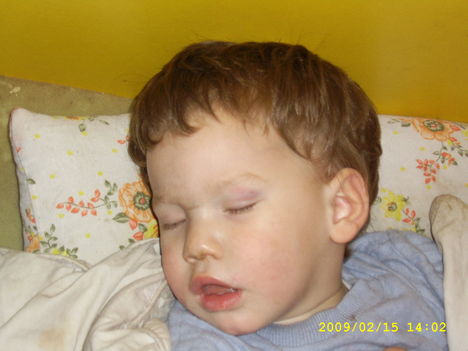 Gábor 1 (17)