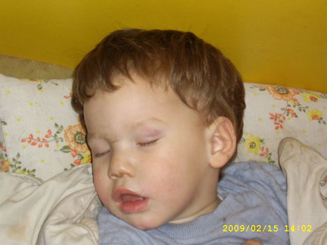 Gábor 1 (18)