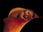 kids_38