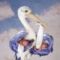 kids_42