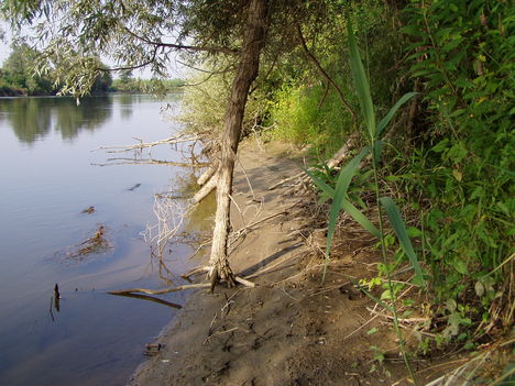 P7190001