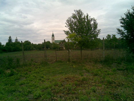 20090524(014)