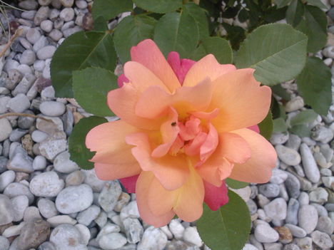 2009.06.13