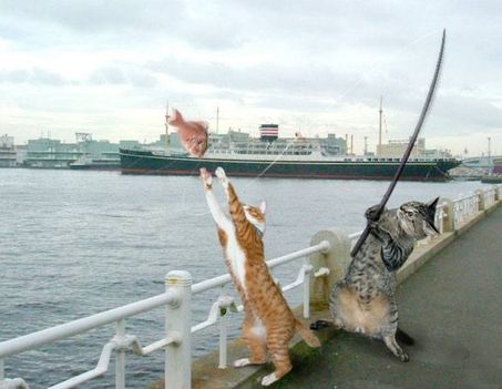 fishercats