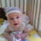 Hason fekve